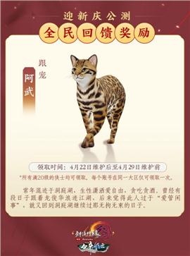 天龙八部私服丢骰子